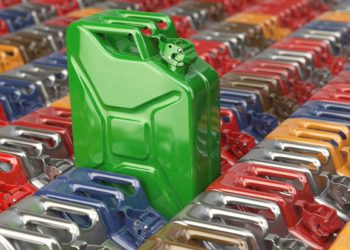 Злодія, котрий викрав чуже пальне, піймали поліцейськ