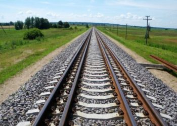 Як врятувати український експорт сільськогосподарської продукції: план Маршалла від тернопільського економіста