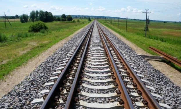 Як врятувати український експорт сільськогосподарської продукції: план Маршалла від тернопільського економіста