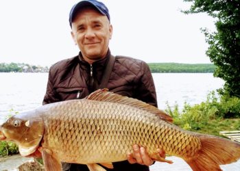 На тернопільському ставі рибалка впіймав 15-кілограмового коропа