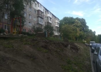 Благоустрій по-тернопільськи: зрізали здорові та великі дерева, бо заважали автостоянці