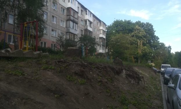 Благоустрій по-тернопільськи: зрізали здорові та великі дерева, бо заважали автостоянці