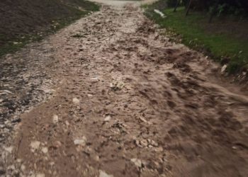 Злива наробила біди: потоп у селі Світле на Тернопільщині