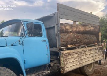 Двох лісівників з Тернопільщини затримали під час продажу деревини на 500 тис. грн