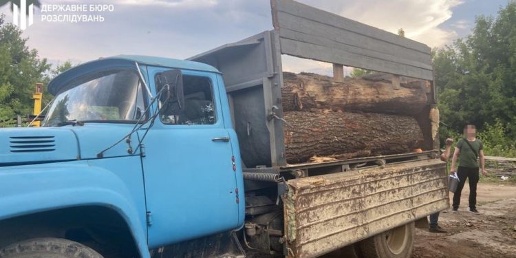 Двох лісівників з Тернопільщини затримали під час продажу деревини на 500 тис. грн