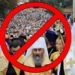 Заборона московського патріархату: львівські депутати зробили те, на що не спромоглися тернопільські