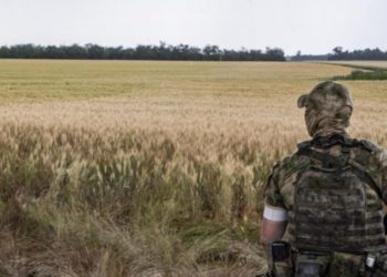 Оточення путіна бореться за вкрадене українське зерно