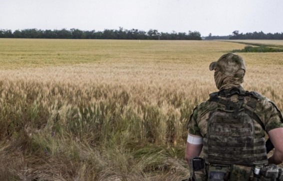 Оточення путіна бореться за вкрадене українське зерно