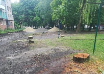 У Тернополі міська влада займається геноцидом… дерев