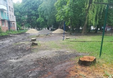 У Тернополі міська влада займається геноцидом… дерев