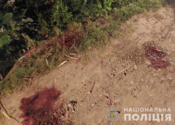 На Чортківщині жінка на очах доньки до смерті забила палицею колишнього чоловіка