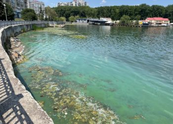 Традиційно: у Тернополі почaв цвісти та смердіти стaв