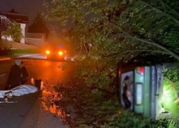 До 9 років позбавлення волі засуджено водія, який у стані алкогольного сп’яніння вчинив смертельну ДТП