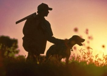 На Тернопільщині заборонили відкриття мисливського сезону