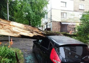 Топило вулиці та ламало дерева: Тернополем пройшлася потужна злива (Фото)