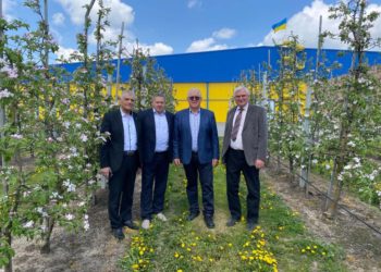 яблука Гадз