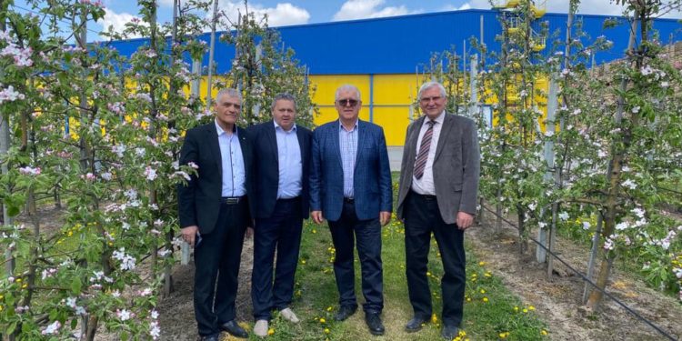 яблука Гадз