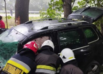 Смертельне ДТП на Тернопільщині: водій загинув на місці