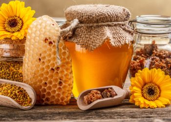 Бучацькі поліцейські викрили жителя Івано-Франківська у крадіжці меду