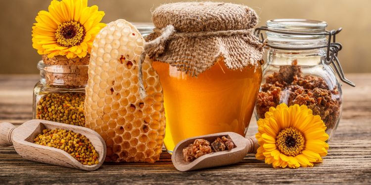 Бучацькі поліцейські викрили жителя Івано-Франківська у крадіжці меду