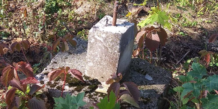 У Бучачі влада нищить кладовище: б’ють могили і вирубують дерева