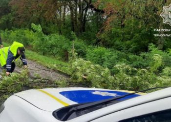 На Тернопільщині негода повалила на дорогу дерево