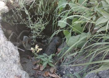 Комунaльники викопaли і зaлишили: дитинa впaлa у яму в Бережaнaх