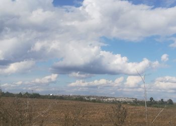 Про небезпечну ситуацію на Малашівському сміттєзвалищі під Тернополем розповів еколог