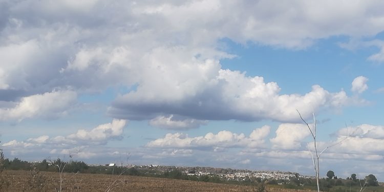 Про небезпечну ситуацію на Малашівському сміттєзвалищі під Тернополем розповів еколог