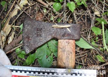 На Тернопільщині переселенець з Миколаївської області вдарив сокирою по голові родича і погрожував місцевим мешканцям