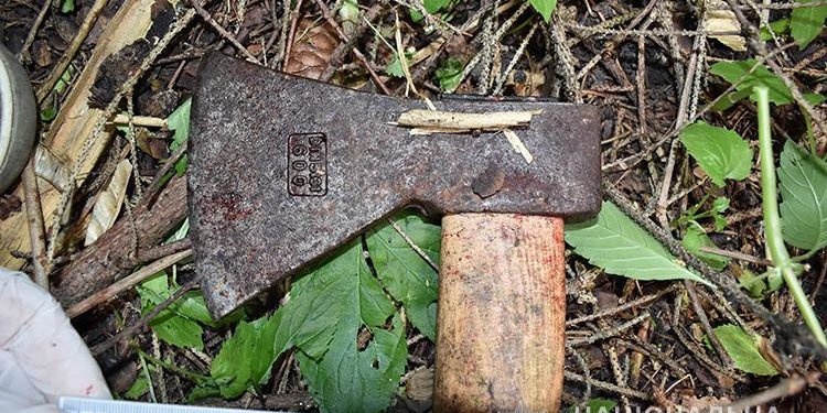 На Тернопільщині переселенець з Миколаївської області вдарив сокирою по голові родича і погрожував місцевим мешканцям