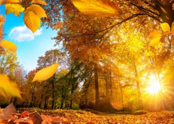 Цього тижня на українців чекає зміна погоди, – Наталка Діденко