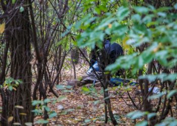 У лісі на Тернопільщині виявили тіло мертвого чоловіка