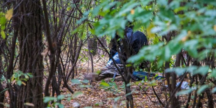 У лісі на Тернопільщині виявили тіло мертвого чоловіка