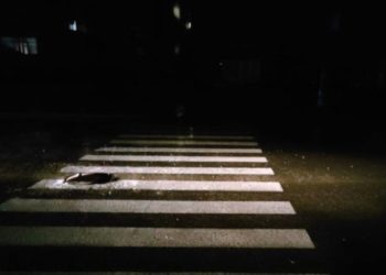 Вчора ввечері на вулиці Петлюри через суцільну темряву автомобіль збив людину