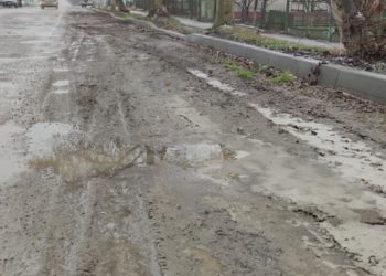 Жителі Гусятина скаржаться на бардак і болото з листям на вулицях міста