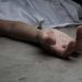 У Тернополі дерева вбивають містян: впало дерево на чоловіка – загинув на місці
