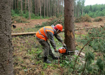 На Тернопільщині розкрадають державний заповідник