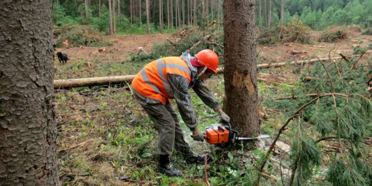 На Тернопільщині розкрадають державний заповідник