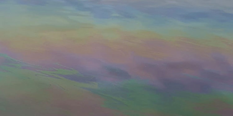 У Тернополі безкарно забруднюють головну окрасу міста