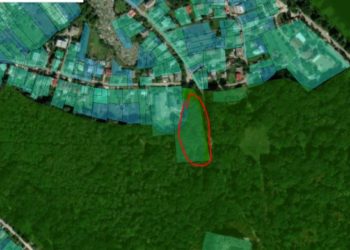 У Тернополі знову хочуть забудувати частину парку