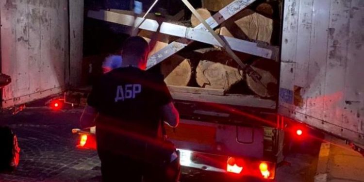 Лісники-злодії: на Тернопільщині затримали працівників лісгоспу, які вирубували та продавали ліс