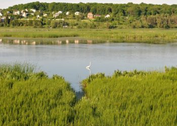 Прокуратура судиться з Тернопільською міською радою, бо та знову привласнює землю