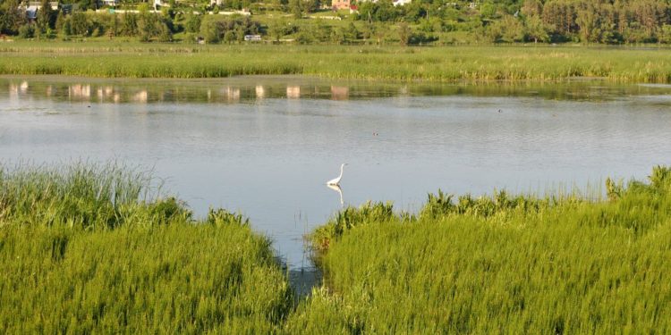 Прокуратура судиться з Тернопільською міською радою, бо та знову привласнює землю