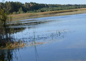 На Тернопільщині державну власність вартістю 120 млн передали громаді голова якої “озолочує” себе захмарними преміями