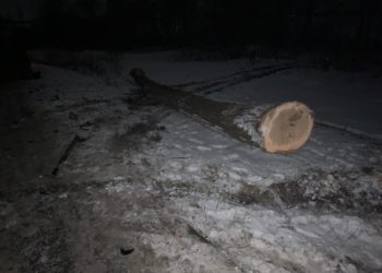 Після аварії на Тернопільщині до лікарні потрапило двоє дітей