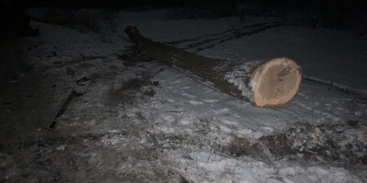 Після аварії на Тернопільщині до лікарні потрапило двоє дітей