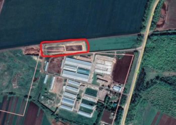 Жителі села на Тернопільщині звинувачують землевласника у загибелі риби в місцевій водоймі