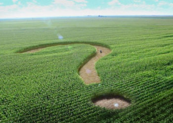 На Тернопільщині знайшли землю, яка належить росіянам