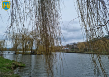 Міська рада на Тернопільщині забирає в підприємця ставок, яка сама надала в оренду